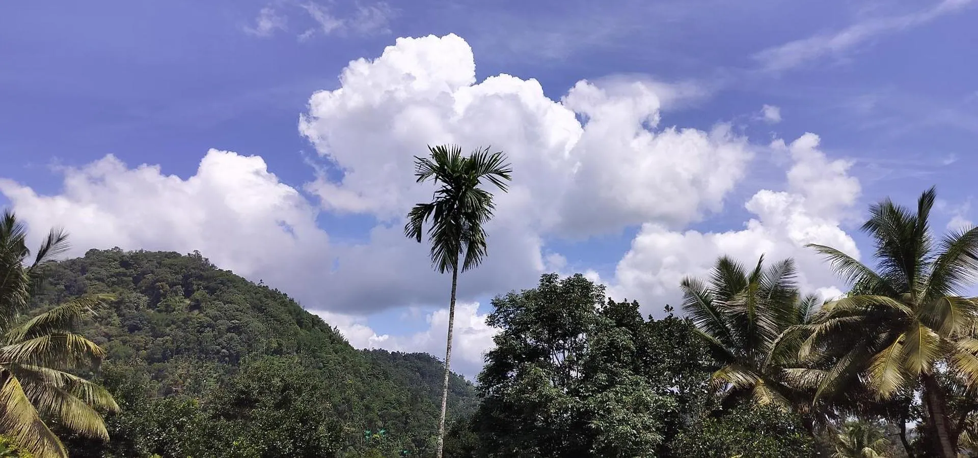 Himadri Munnar Holidays 0*,  הודו