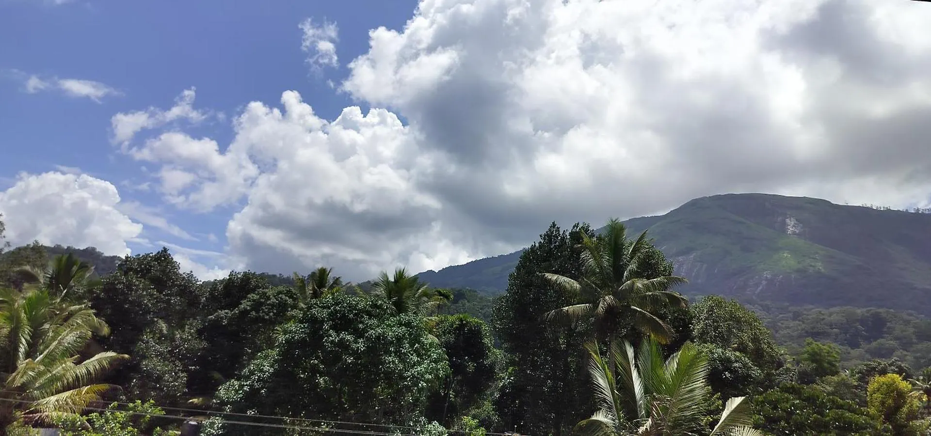 Himadri Munnar Holidays בית אירוח